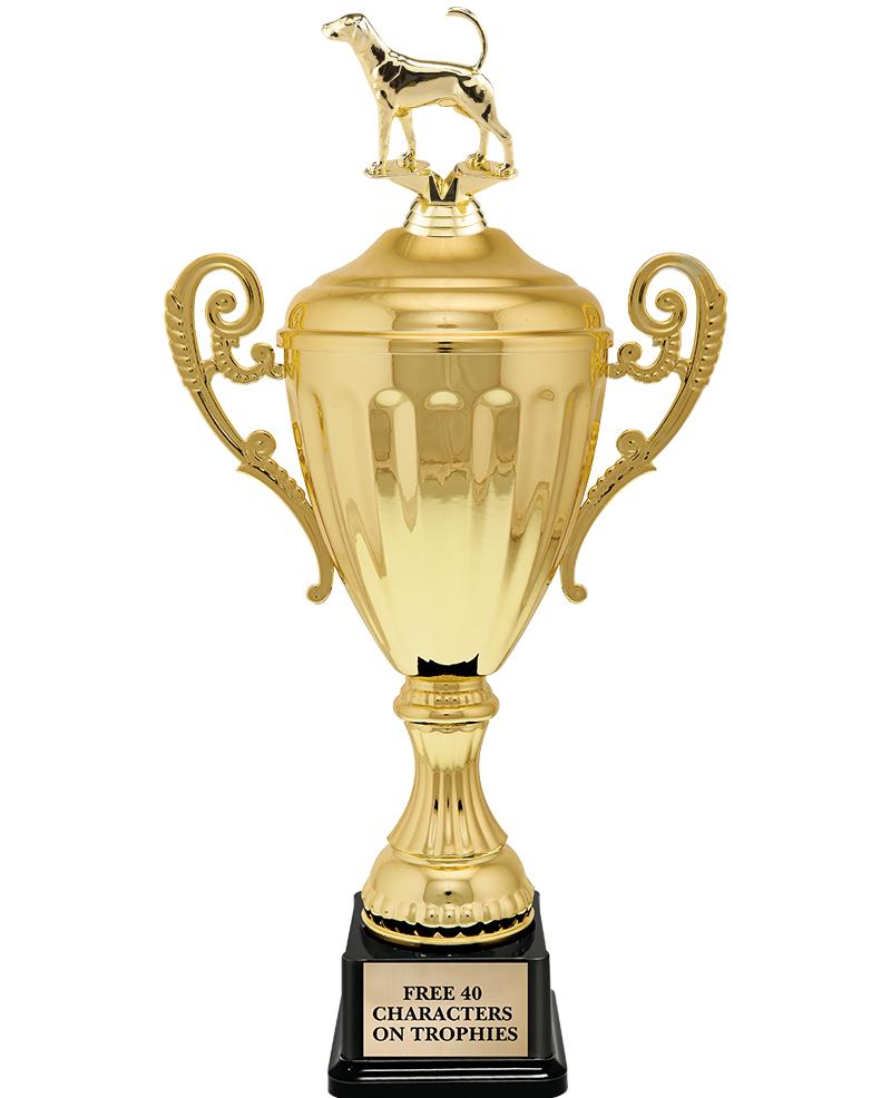 15.43" GD ACCLDE CUP TRP W FIG