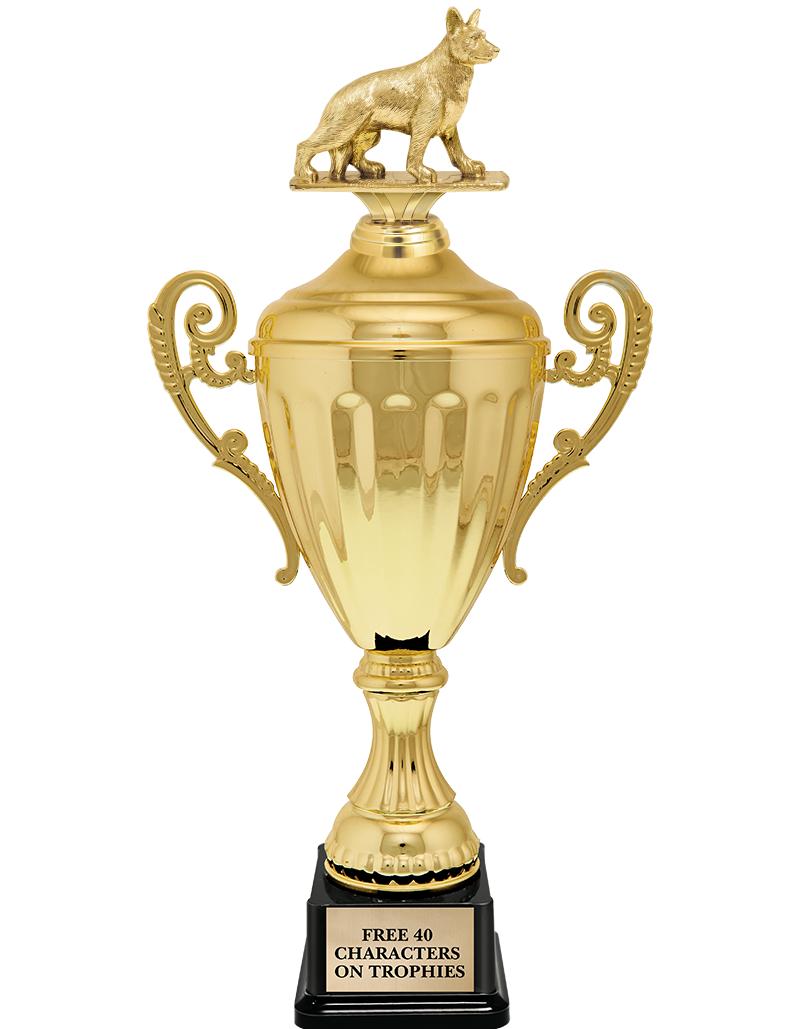 15.43" GD ACCLDE CUP TRP W FIG