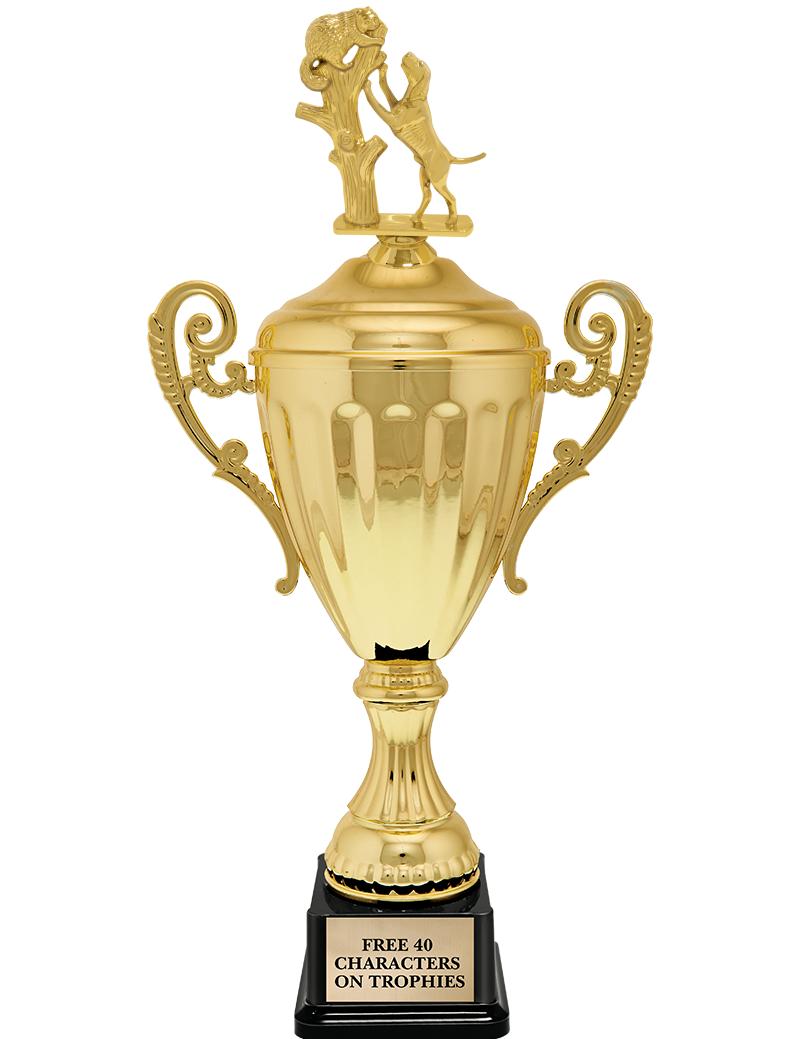 15.43" GD ACCLDE CUP TRP W FIG