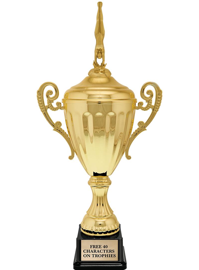 15.43" GD ACCLDE CUP TRP W FIG