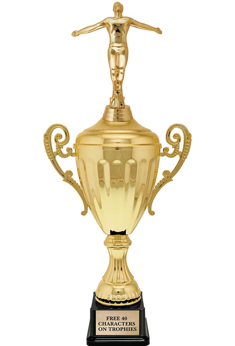 15.43" GD ACCLDE CUP TRP W FIG