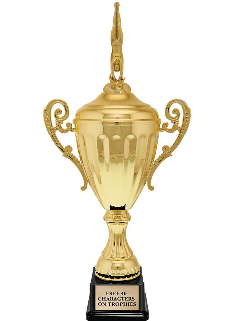 15.43" GD ACCLDE CUP TRP W FIG