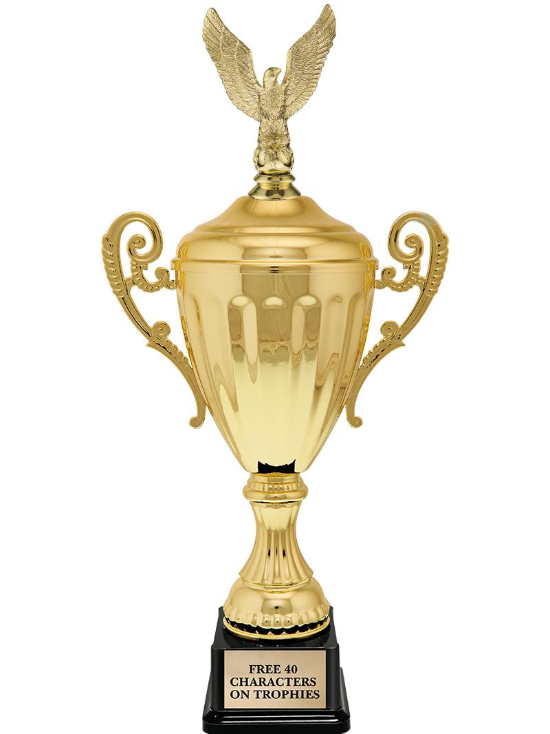 15.43" GD ACCLDE CUP TRP W FIG