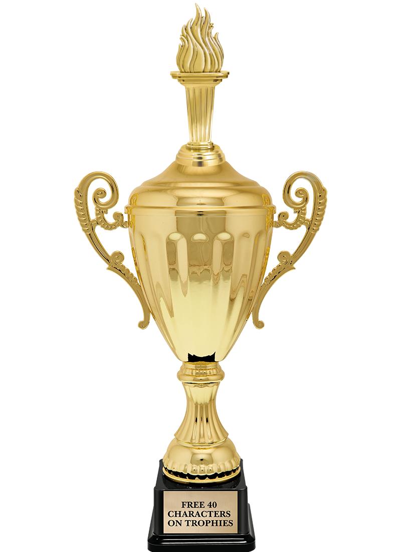 15.43" GD ACCLDE CUP TRP W FIG