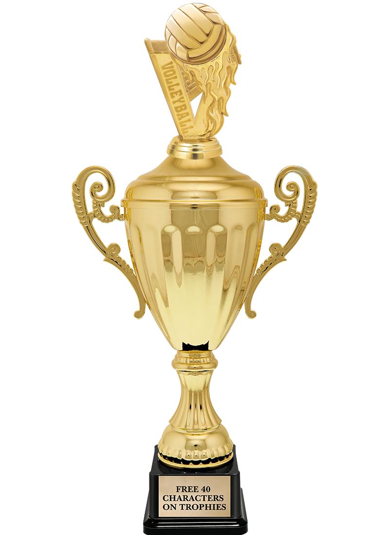 15.43" GD ACCLDE CUP TRP W FIG