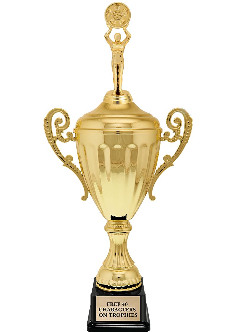 15.43" GD ACCLDE CUP TRP W FIG