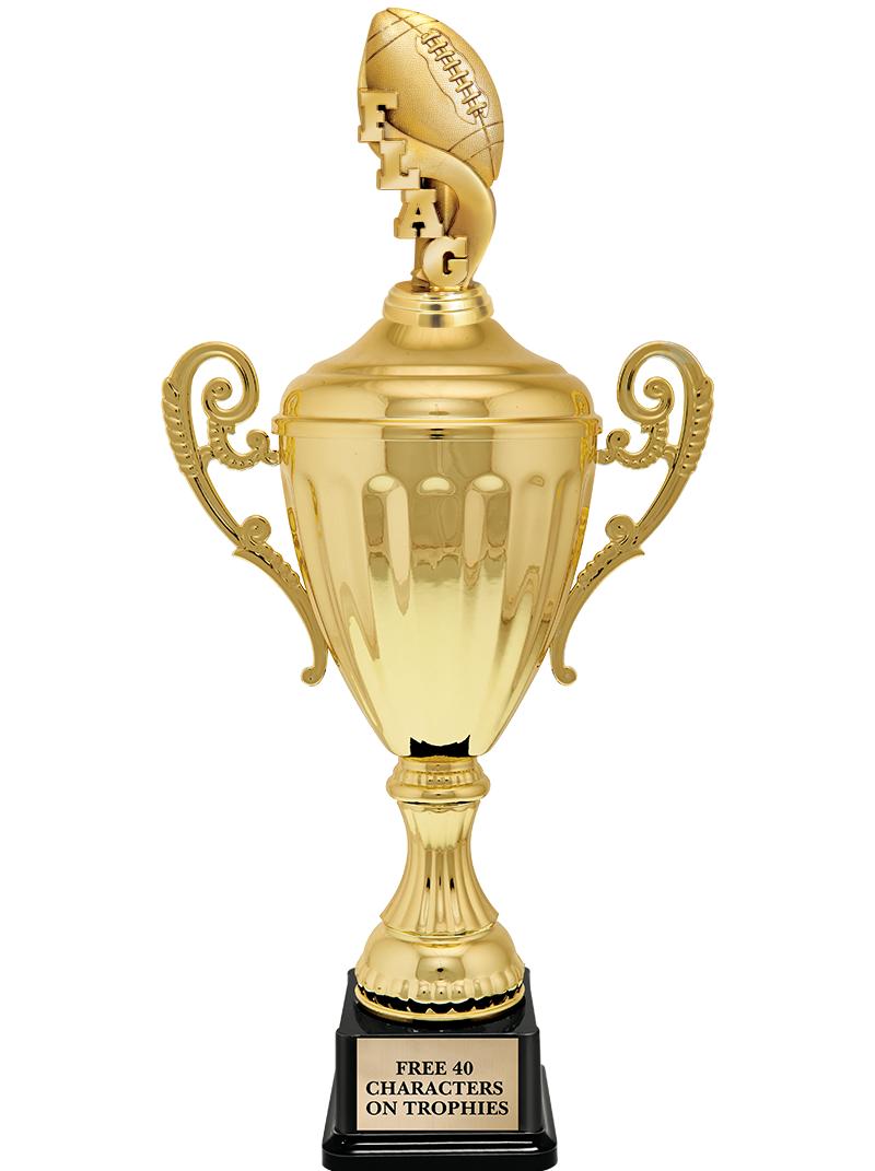 15.43" GD ACCLDE CUP TRP W FIG