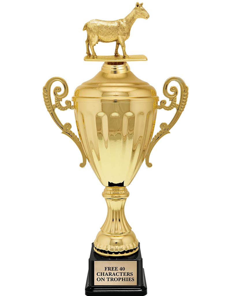 15.43" GD ACCLDE CUP TRP W FIG