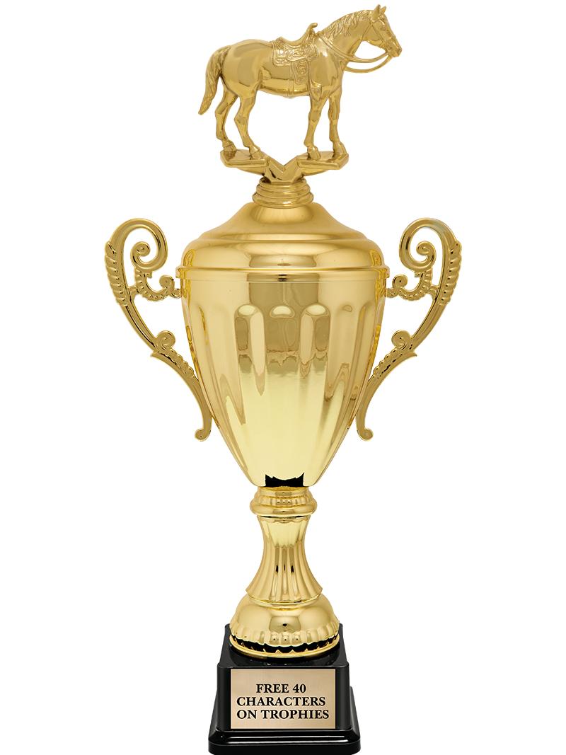 15.43" GD ACCLDE CUP TRP W FIG