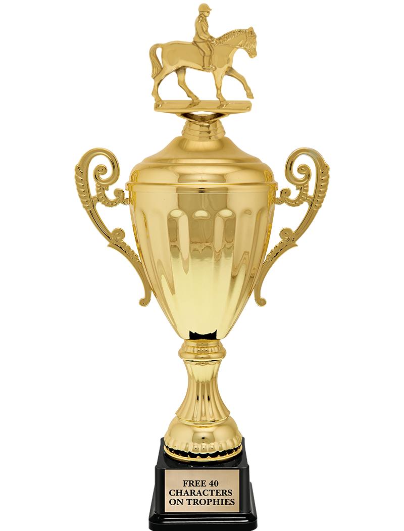 15.43" GD ACCLDE CUP TRP W FIG