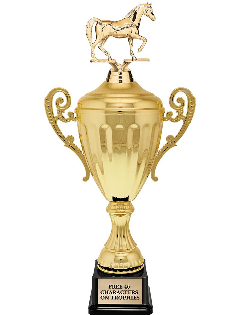 15.43" GD ACCLDE CUP TRP W FIG