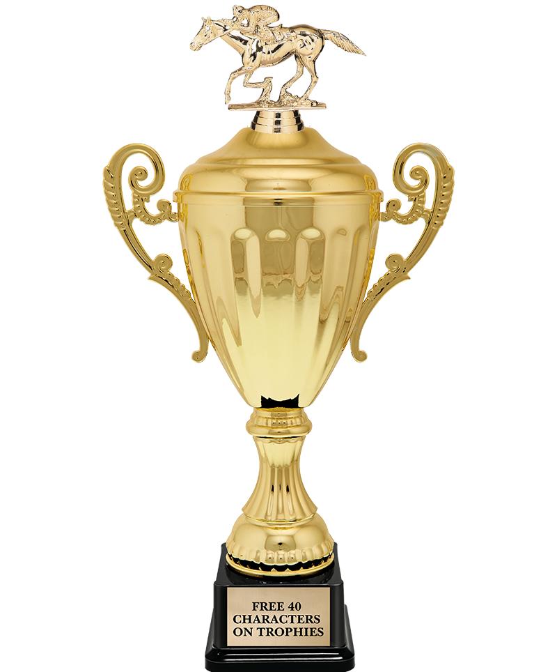 15.43" GD ACCLDE CUP TRP W FIG