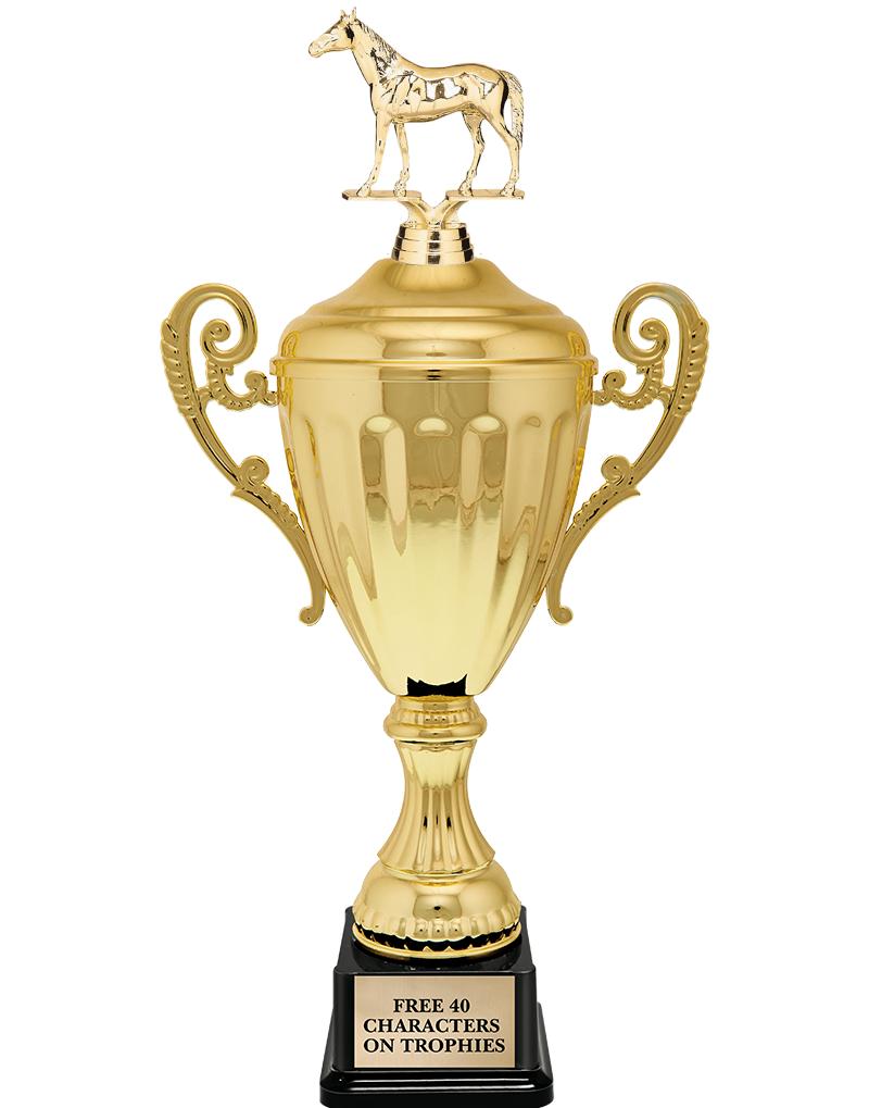 15.43" GD ACCLDE CUP TRP W FIG