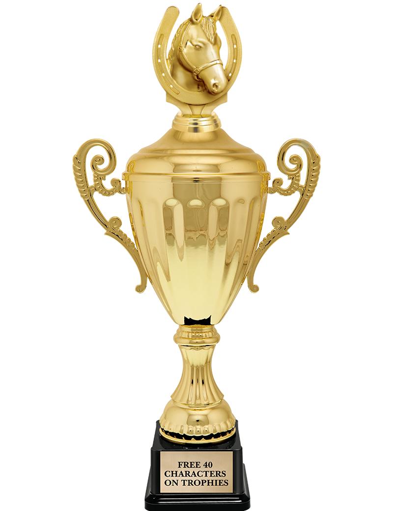 15.43" GD ACCLDE CUP TRP W FIG