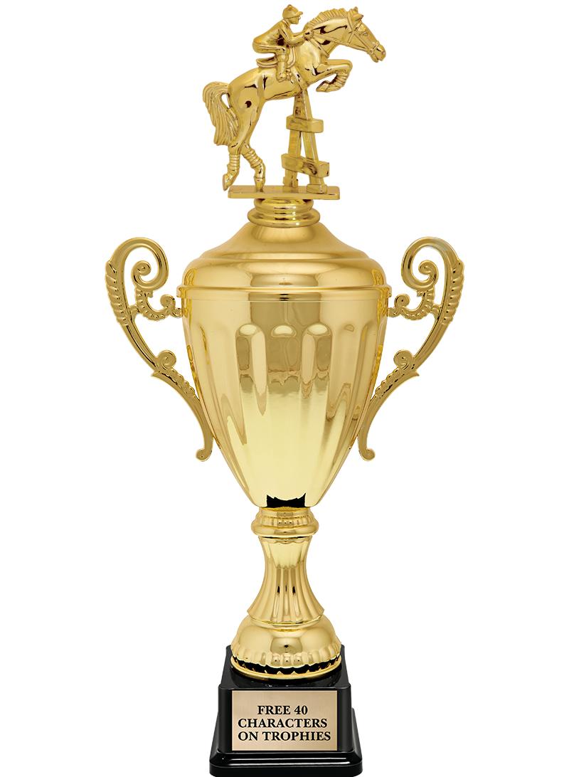 15.43" GD ACCLDE CUP TRP W FIG