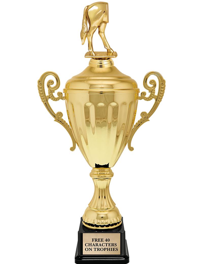 15.43" GD ACCLDE CUP TRP W FIG