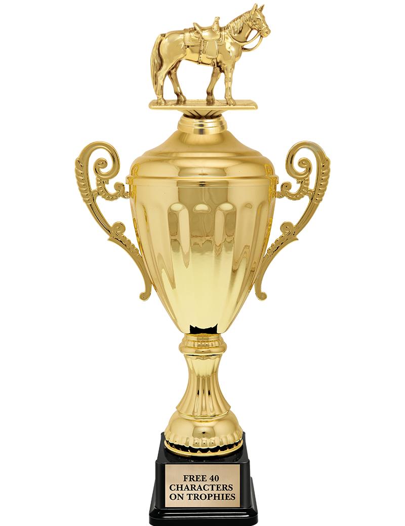 15.43" GD ACCLDE CUP TRP W FIG