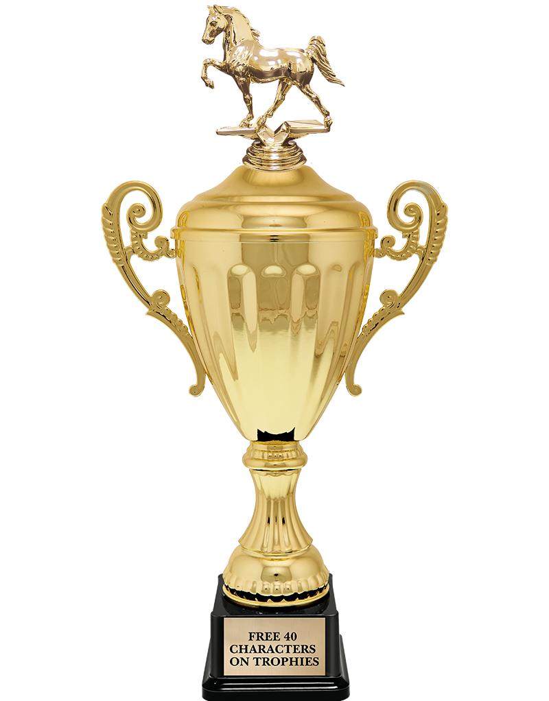 15.43" GD ACCLDE CUP TRP W FIG