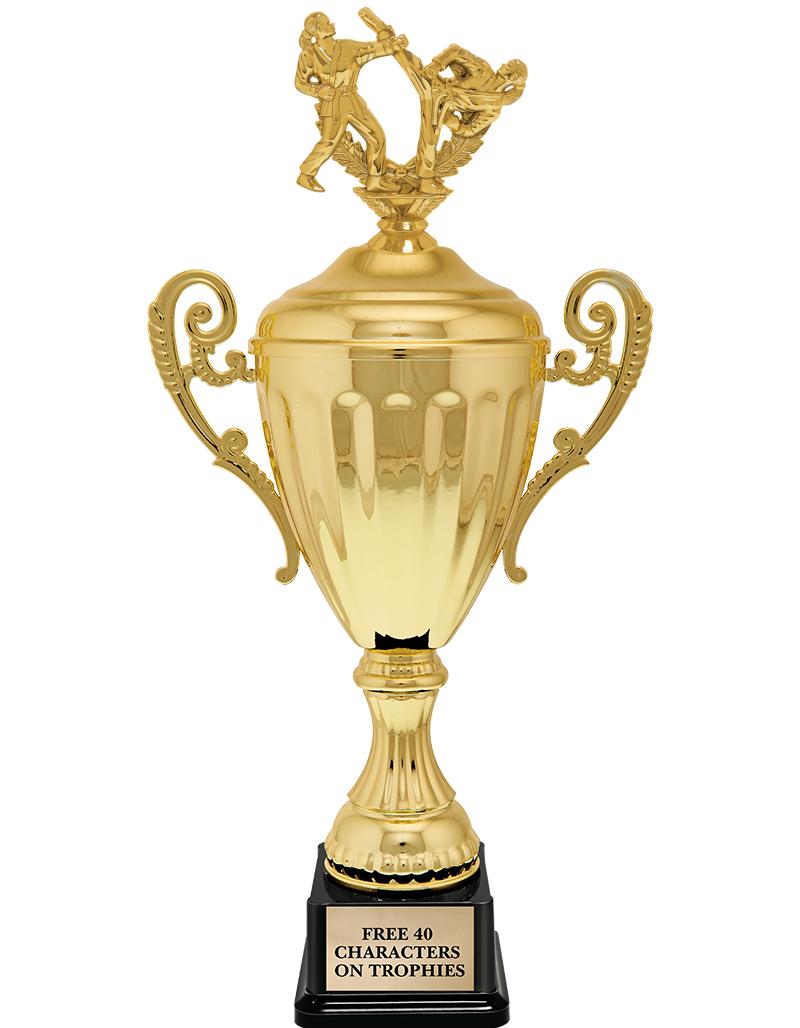 15.43" GD ACCLDE CUP TRP W FIG