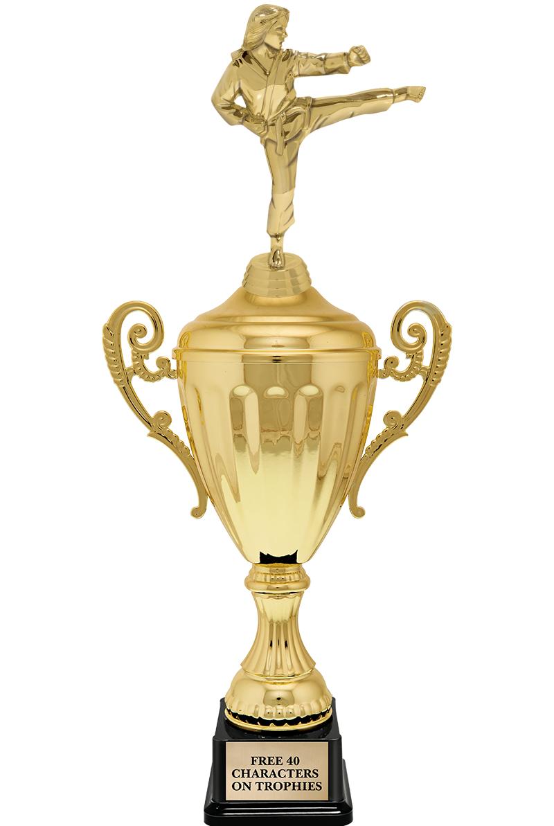 15.43" GD ACCLDE CUP TRP W FIG