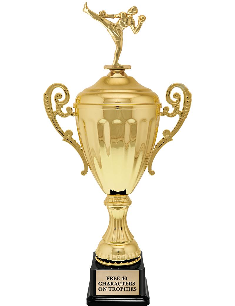 15.43" GD ACCLDE CUP TRP W FIG