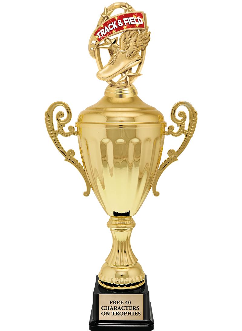 15.43" GD ACCLDE CUP TRP W FIG