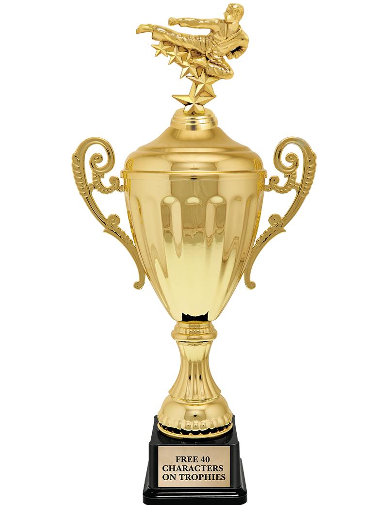 15.43" GD ACCLDE CUP TRP W FIG