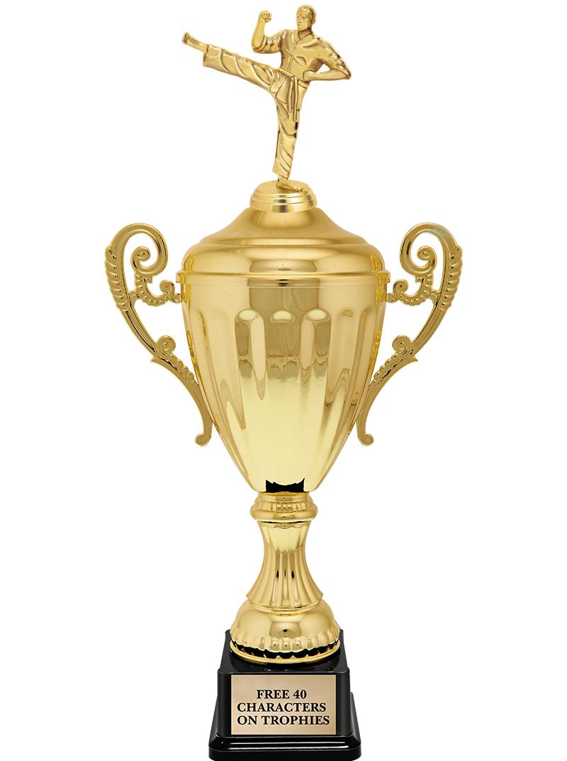 15.43" GD ACCLDE CUP TRP W FIG