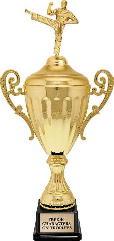 高評価レビュー Gold Accolade | Trophies Taekwondo Cup Metal Taekwondo Cup 靴