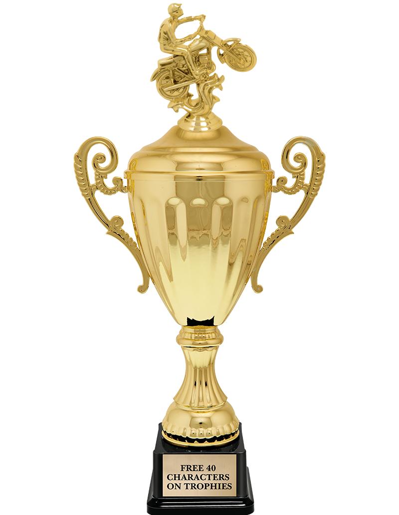 15.43" GD ACCLDE CUP TRP W FIG