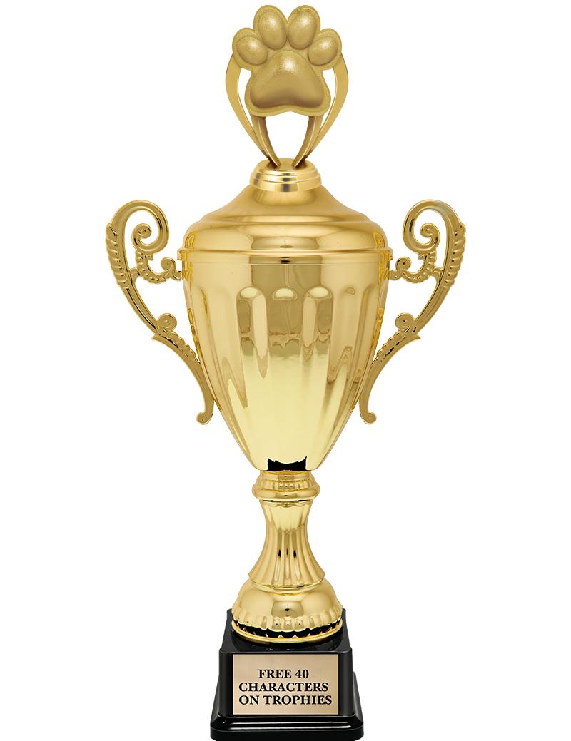 15.43" GD ACCLDE CUP TRP W FIG