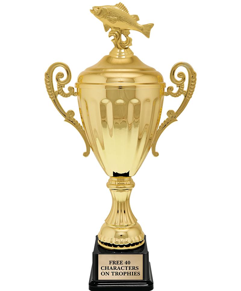 15.43" GD ACCLDE CUP TRP W FIG