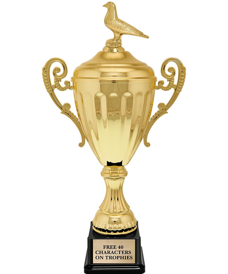 15.43" GD ACCLDE CUP TRP W FIG