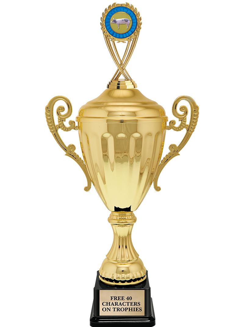 15.43" GD ACCLDE CUP TRP W FIG