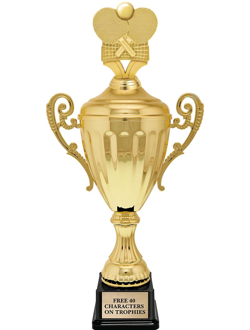 15.43" GD ACCLDE CUP TRP W FIG