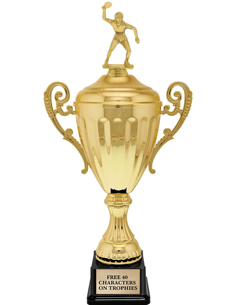 15.43" GD ACCLDE CUP TRP W FIG