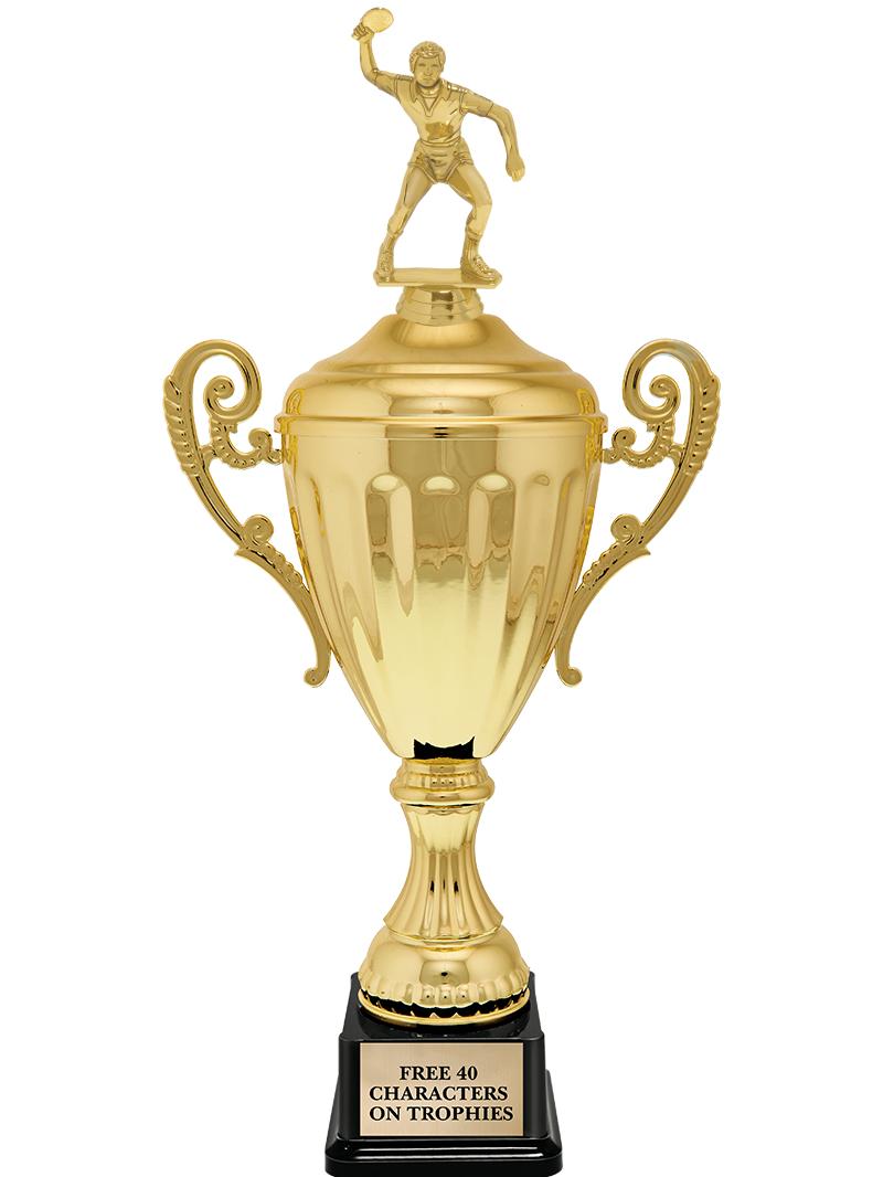 15.43" GD ACCLDE CUP TRP W FIG