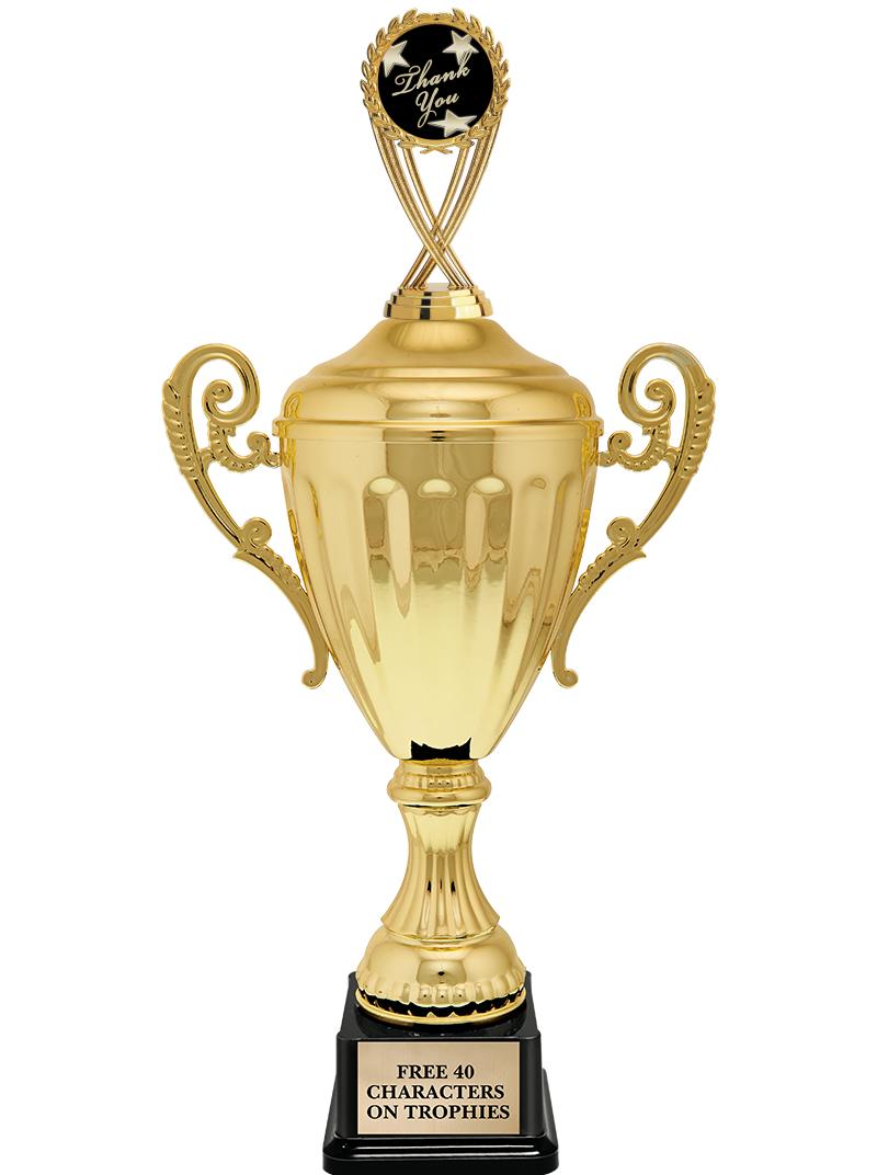 15.43" GD ACCLDE CUP TRP W FIG