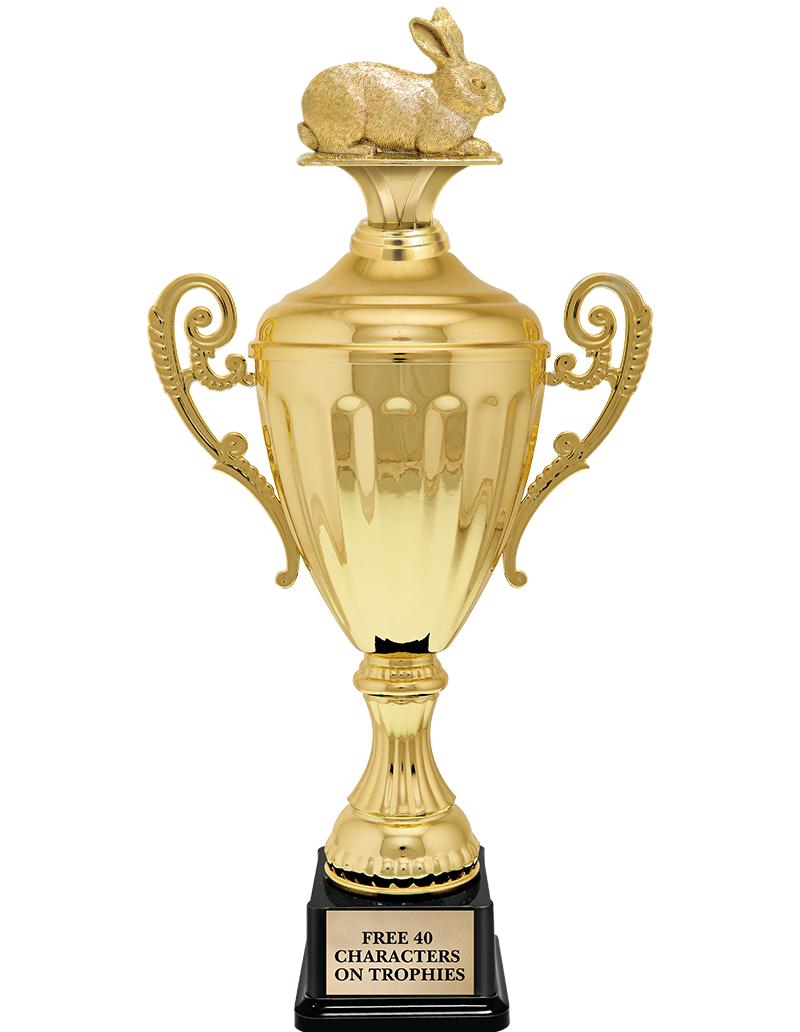 15.43" GD ACCLDE CUP TRP W FIG