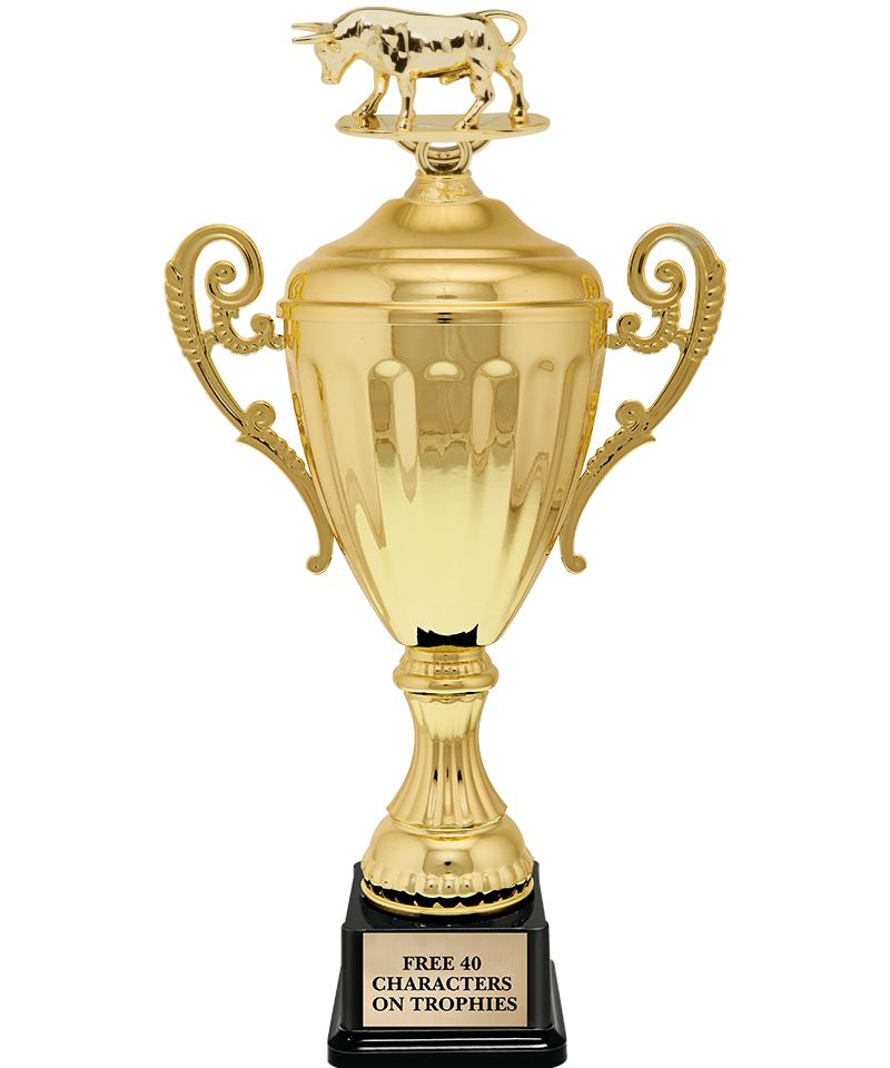 15.43" GD ACCLDE CUP TRP W FIG