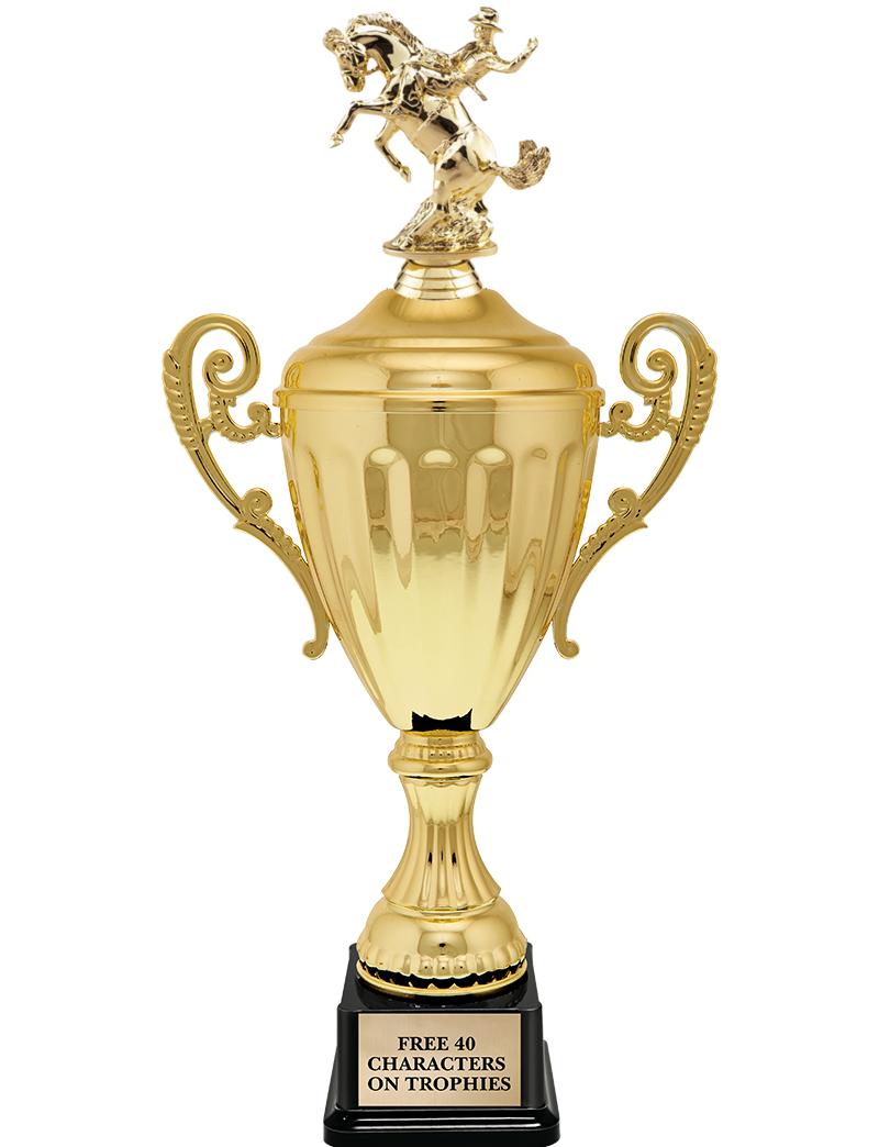 15.43" GD ACCLDE CUP TRP W FIG