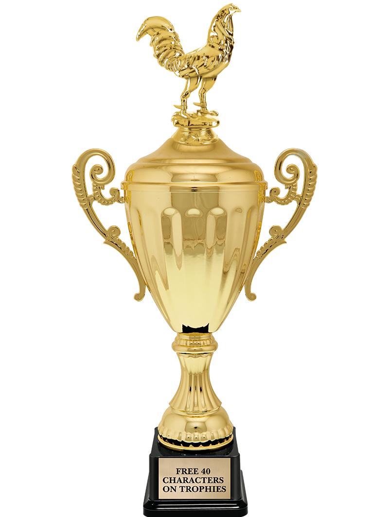 15.43" GD ACCLDE CUP TRP W FIG