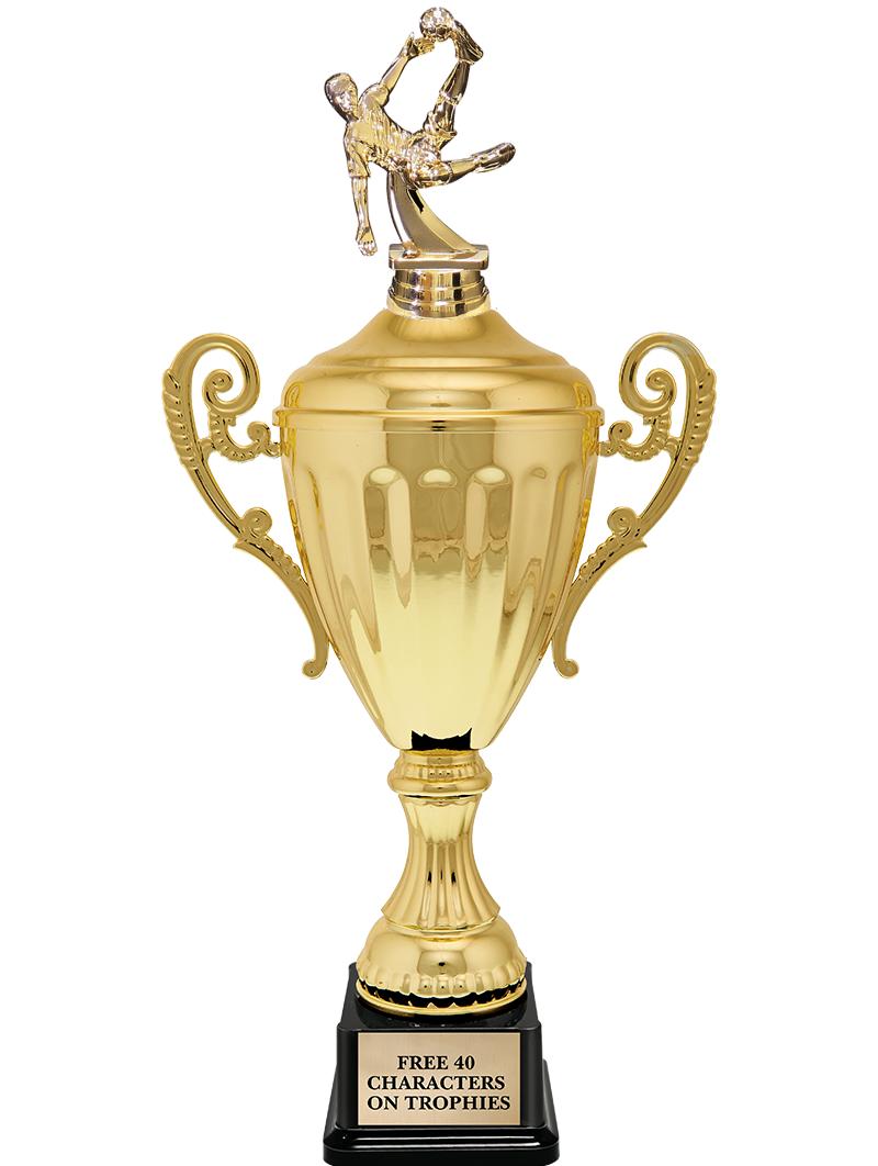 15.43" GD ACCLDE CUP TRP W FIG