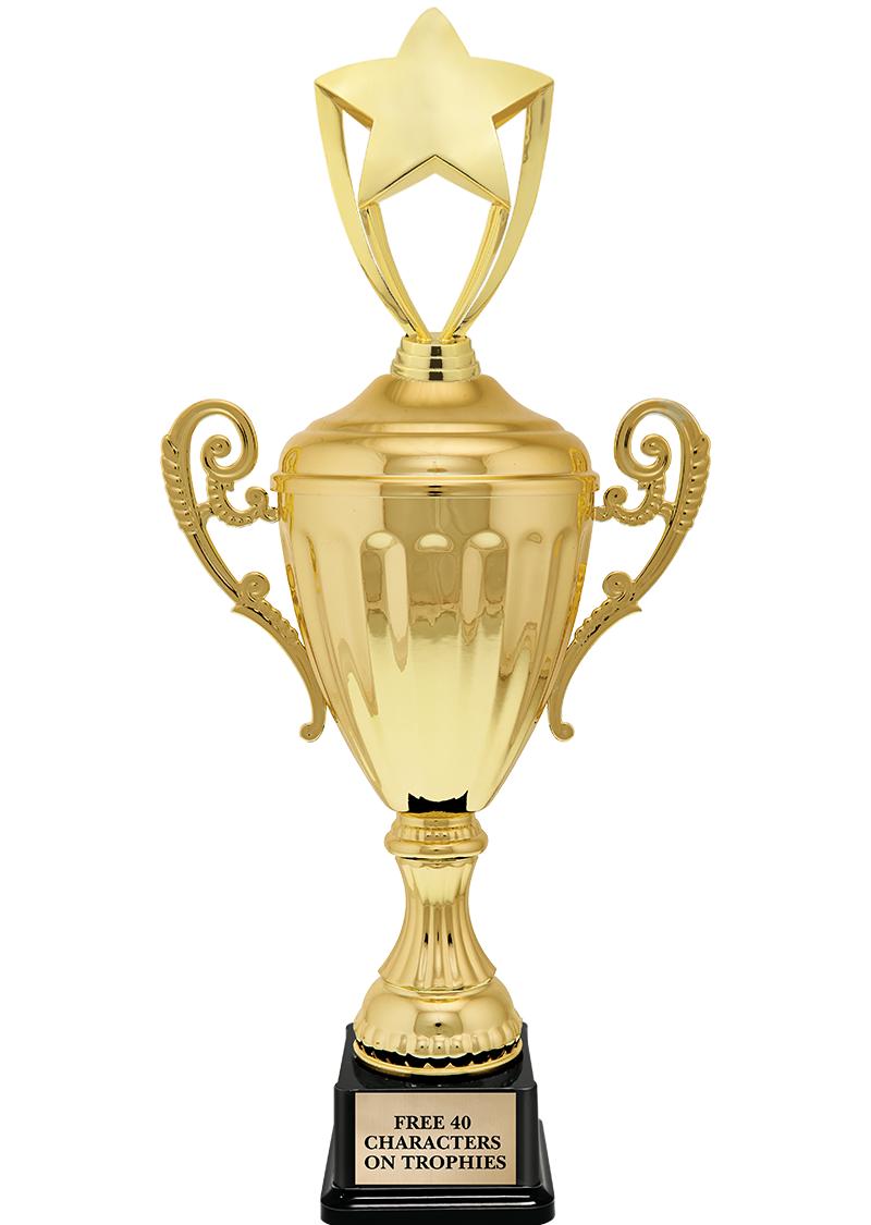 15.43" GD ACCLDE CUP TRP W FIG