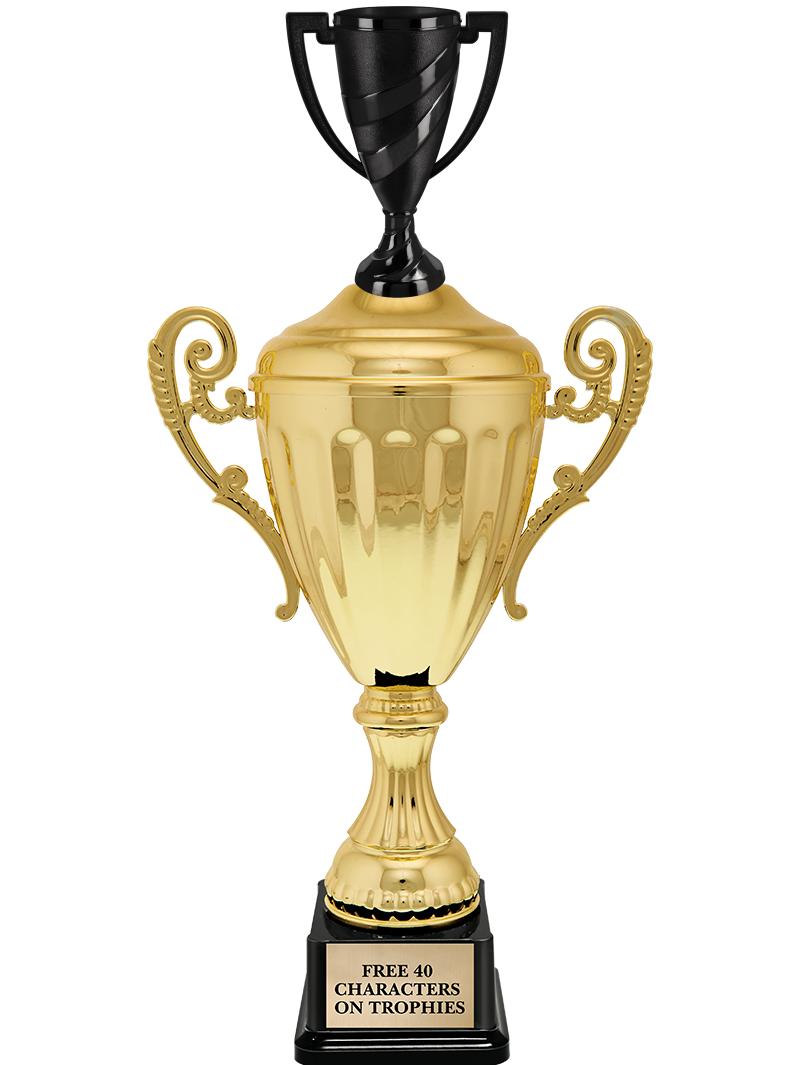 15.43" GD ACCLDE CUP TRP W FIG