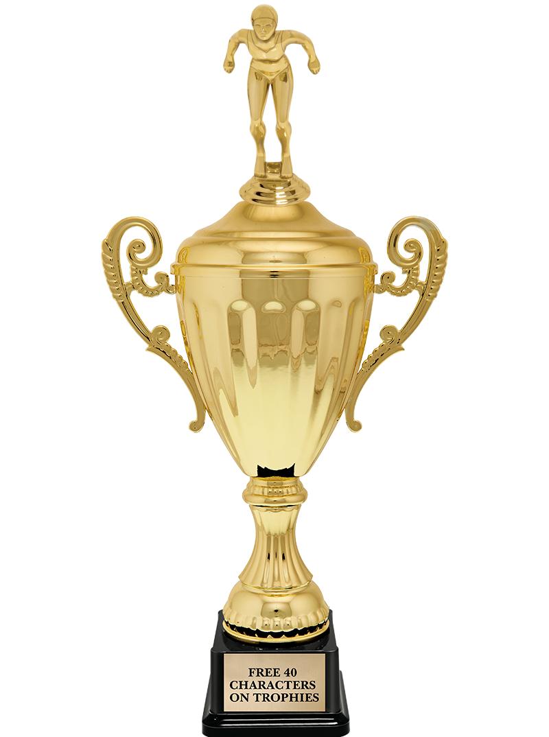 15.43" GD ACCLDE CUP TRP W FIG