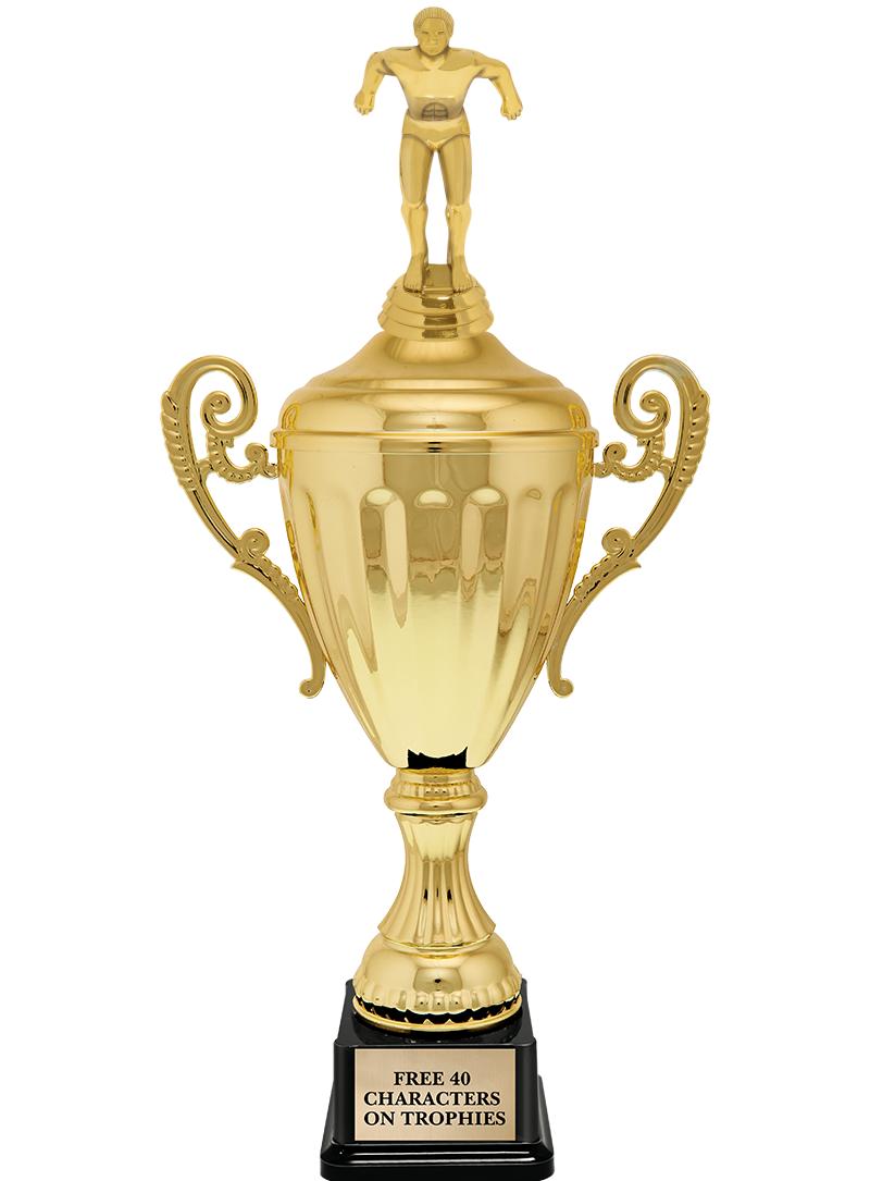 15.43" GD ACCLDE CUP TRP W FIG