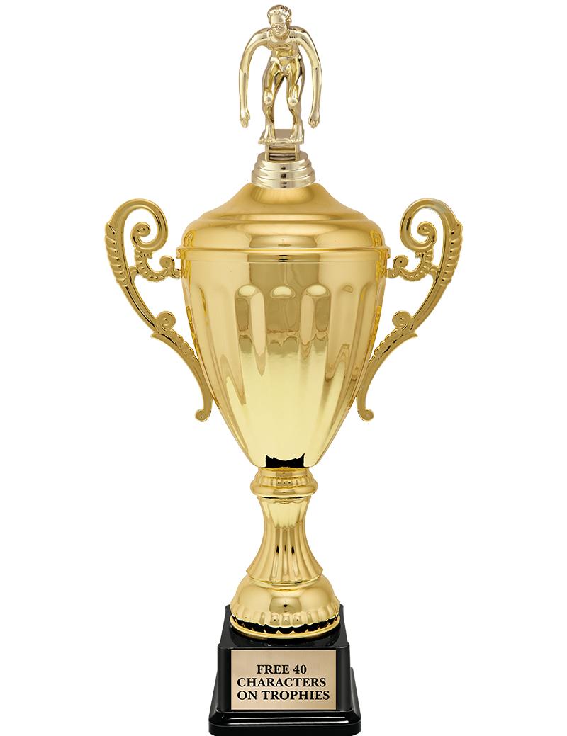 15.43" GD ACCLDE CUP TRP W FIG