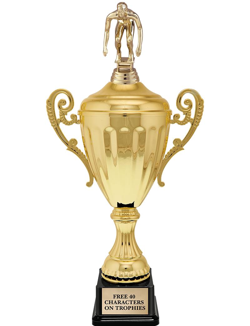 15.43" GD ACCLDE CUP TRP W FIG
