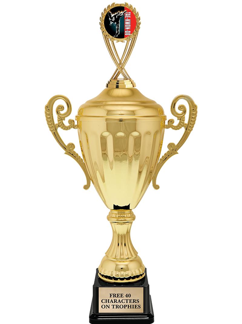 15.43" GD ACCLDE CUP TRP W FIG